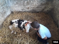 Djeca odrastaju u zdravom okruženju