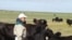 US Great Plains Ranching Faces Uncertain Future