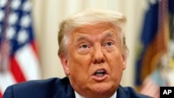 도널드 트럼프 미국 대통령.