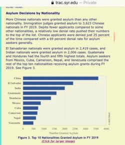 雪城大学的数据显示，2019年美国移民法庭通过的庇护申请中，中国人数名列榜首。（网页截屏）