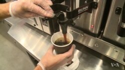 Caffeine Shapes the Brain to Make Us Buzz