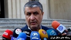 محمد اسلامی، رئیس سازمان انرژی اتمی ایران