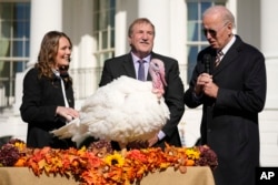 FILE - President Joe Biden pardons Chocolate, the national Thanksgiving turkey, at the White House in Washington, Nov. 21, 2022. (AP Photo/Andrew Harnik)