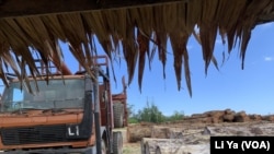 马来西亚华人拥有的三姆林森伐木公司在所罗门群岛马莱塔省的一个木材堆放场。（美国之音莉雅拍摄）