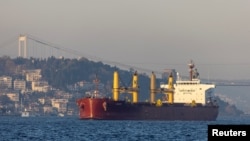 우크라이나산 곡물을 실은 화물선이 흑해와 연결된 튀르키예 보스포루스 해협을 지나고 있다. (자료사진) 