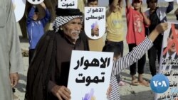 Iraq's Ancient Marshes Dry Up on the Frontline of Climate Change