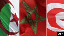 En concurrence avec la Tunisie et l'Algérie au Maghreb, le Maroc déploie depuis une diplomatie de plus en plus offensive pour rallier d'autres pays à ses positions.