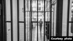 Foto: Dženat Dreković, CIN