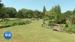 L'arboretum, le plus grand jardin scientifique des Etats-Unis