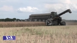 თურქეთის როლი შავი ზღვის მარცვლეულის გარიგებაში