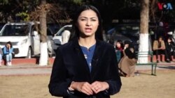 پہلی مرتبہ ووٹ ڈالنے والے نوجوان انتخابات کے بارے میں کیا رائے رکھتے ہیں؟