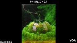 นักวิทยาศาสตร์จากสถาบัน Max Planck Institute ได้มองหาแรงบันดาลใจจากธรรมชาติในการพัฒนาหุ่นยนต์เพื่อช่วยในการสำรวจมหาสมุทร