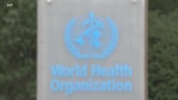 Grippe aviaire H5N2 : un premier décès humain confirmé, l'OMS enquête