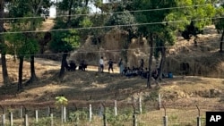 Members of the Myanmar Border Guard Police, in civilian clothing, sit under the shade of trees after abandoning their posts following fighting between Myanmar security forces and Arakan Army fighters, as Bangladesh border guards patrol, in Bangladesh, Feb. 5, 2024.