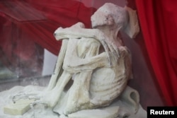 FILE - A dried, fossilized body stored in a glass cabinet is displayed at the San Luis Gonzaga National University in Ica, Peru, Jan. 17, 2024.