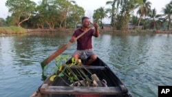T. P. Murukesan rows a canoe stocked with mangrove saplings along a waterbody meant for prawns and pokkali rice off the shore of Vypin Island in Kochi, Kerala state, India, on March 4, 2023.