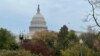 US Congressional Leaders Reach Deal to Avert Government Shutdown 