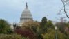 Zgrada američkog Capitola u Washingtonu, 7. novembra 2023. (Foto: Diaa Bekheet)