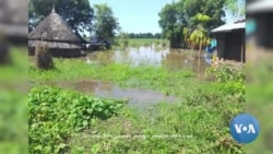 በጋምቤላ ከ61 ሺሕ በላይ ነዋሪዎች በጎርፍ እንደተፈናቀሉና እንደተጎዱ ክልሉ ገለጸ 