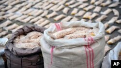 FILE - In this photo released by the Syrian official news agency SANA, Syrian authorities display Captagon pills in rural Damascus, Syria, Nov. 30, 2021. 