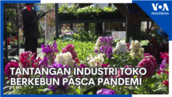 Kembang Kempis Industri Toko Berkebun Sejak Akhir Darurat Pandemi