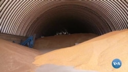 Rossiyaning Ukraina g’alla omborlariga hujumlari