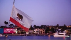 California'da kansere yol açan bazı gıda katkı maddelerine yasaklama