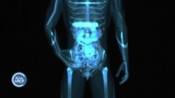 የአመጋብ ዘይቤያችን፣ በሆድ ዕቃችን የሚላወሱት ረቂቅ ተሕዋስያን እና ጤናችን