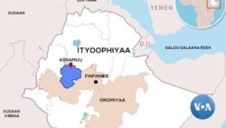 Wallagga Bahaa, Aanaa Kiiramuu fi Horroo Guduruu Wallagga Keessa Buqqaatonni Jiran Gargaarsa Dhabuurraa Akka Rakkoo Hamaarraa Jiran Himatan