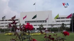 پاکستاني سېنېټران: ایا د افغانانو له ويستلو سره به د اقتصاد او امنيت مسلې حل شي؟