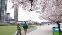 Long-Aylend-Siti – xitoyliklar bilan gavjum Nyu-York mahallasi