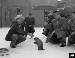 Dan Mrmota 1954. (Foto: AP/Dwayne Newton)