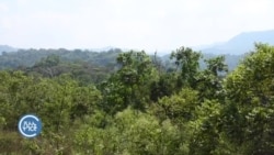  ኢትዮጵያ፡ ምስጢራዊ ኮሚተ ብሃውሪ ቅትለትን ማእሰርትን ይእዝዝ ከም ዝነበረ ሮይተርስ ሓቢሩ 