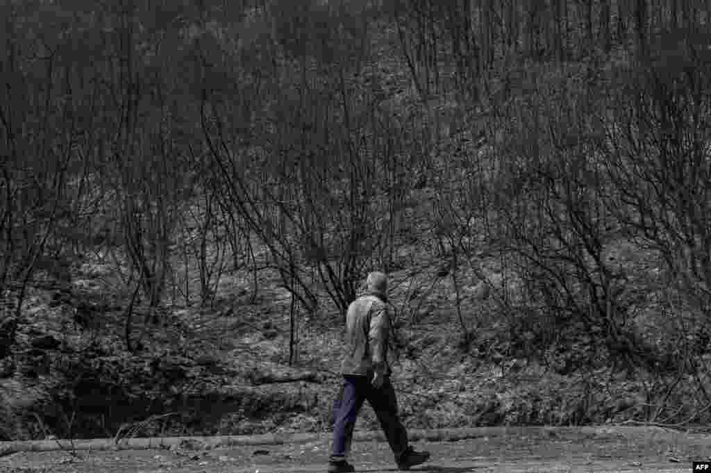 A man walks past a burned area after a fire near Kassiopi, Greece, July 26, 2023.&nbsp;Wildfires have been raging in Greece amid scorching temperatures, forcing mass evacuations in several tourist spots including on the islands of Rhodes and Corfu.&nbsp;