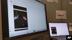 ระบบคอมพิวเตอร์ที่ใช้ AI ช่วยวิเคราะห์ข้อมูลจากดาวเทียมเพื่อทำแผนที่ภูเขาน้ำแข็ง