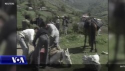 16 vjetori i pavarësisë së Kosovës mes tensionesh me Uashingtonin