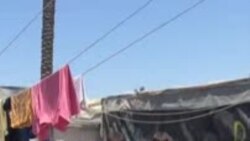 Infeksi Kulit Menyebar di Antara Anak-anak Gaza di Kamp Pengungsian