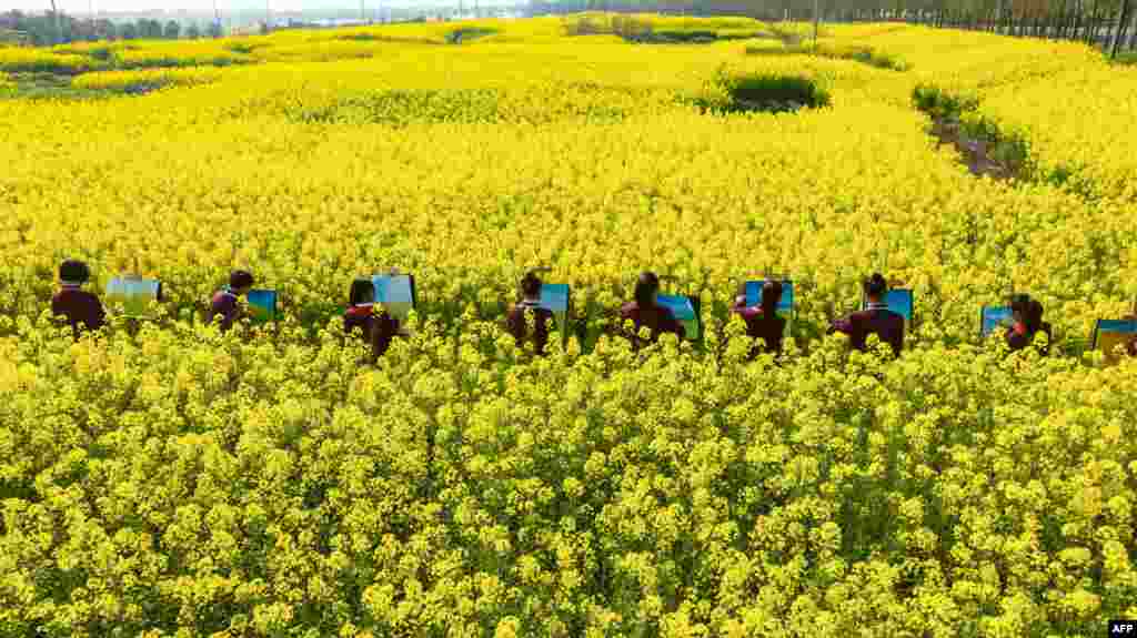 Students draw pictures among blossoming rapeseed flowers in Haian, Nantong city, in China's eastern Jiangsu province, March 28, 2023.