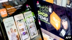 美国首都华盛顿Temu消费者视频显示的Temu app。（2023年2月23日）