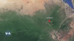 በጋምቤላ ክልል 14 የአመራር አባላት ታሰሩ