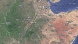 Godina Shawaa Lixaatti Bulchiinsi Aanaa gindabarat Kanneen Qe'e Irraa Buqa'aniif Gargaarsi Akka Taasisamu Gaafate