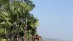 ທ່ານລິນທອງ, ຢູ່ທີ່ເຮືອນສວນແຄມແມ່ນໍ້າ.