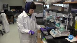 Saratonga qarshi yangi dori yaratilmoqda