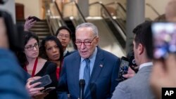 Senatori Chuck Schumer duke folur për paketën e re të ndihmave