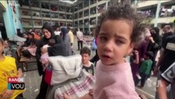 Anpil Apel Lanse pou Mande Izrayèl ak Hamas Sispann Goumen