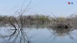 زندگی در قریه چاوسا 