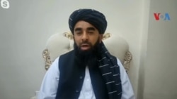 اظهارات ذبیح الله مجاهد در مورد بازداشت مطیع الله ویسا