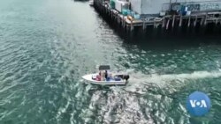 Meyn qirg'oqlarida baliqchilar ekotizim uchun foydali biznes bilan shug'ullanmoqda