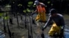 Workers transplant seedlings in a recovered mangrove forest, once part of a garbage dump, in Duque de Caxias, Brazil, July 25, 2023. 