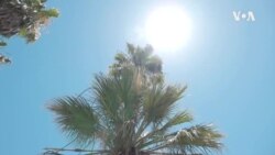 Климатските промени се голем фактор во екстремно топлотните бранови